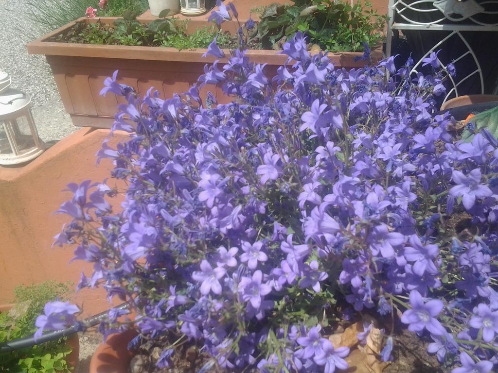 Dolce Vita Valeggio sul Mincio Εξωτερικό φωτογραφία